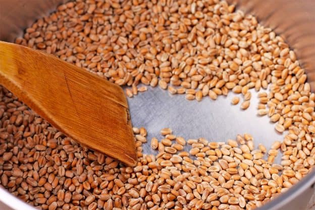Wheat berries are toasted in a saucepan with wooden spoon