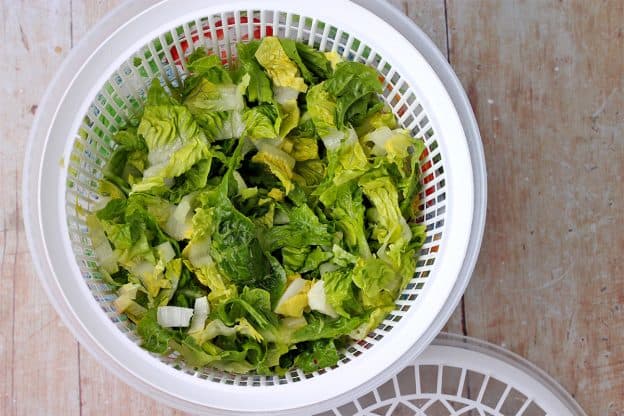 Chopped romaine lettuce is placed in a salad spinner.