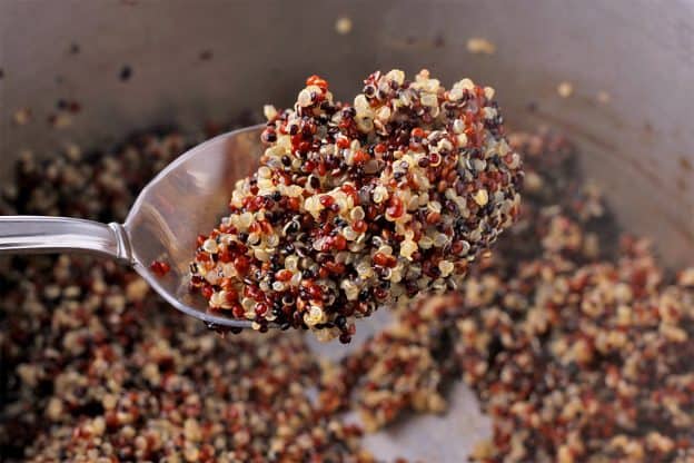 Cooked rainbow quinoa in a spoon is held over pot.