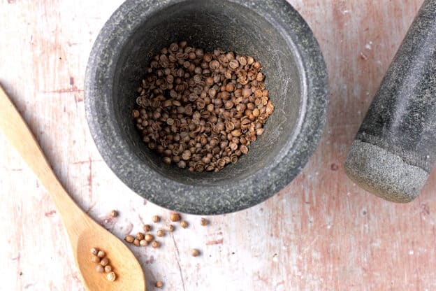 Coriander seeds are broken using a mortar and pestle.