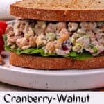 A sandwich with creamy chickpea salad with cranberries, walnuts, celery, and scallions.