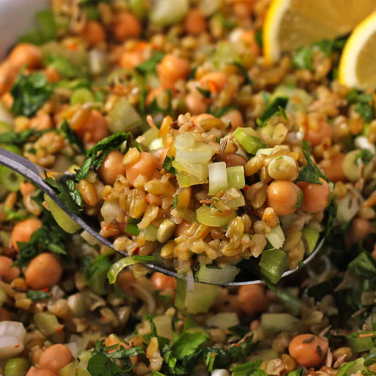 A spoonful of lemon freekeh salad with chickpeas is held over a bowl.